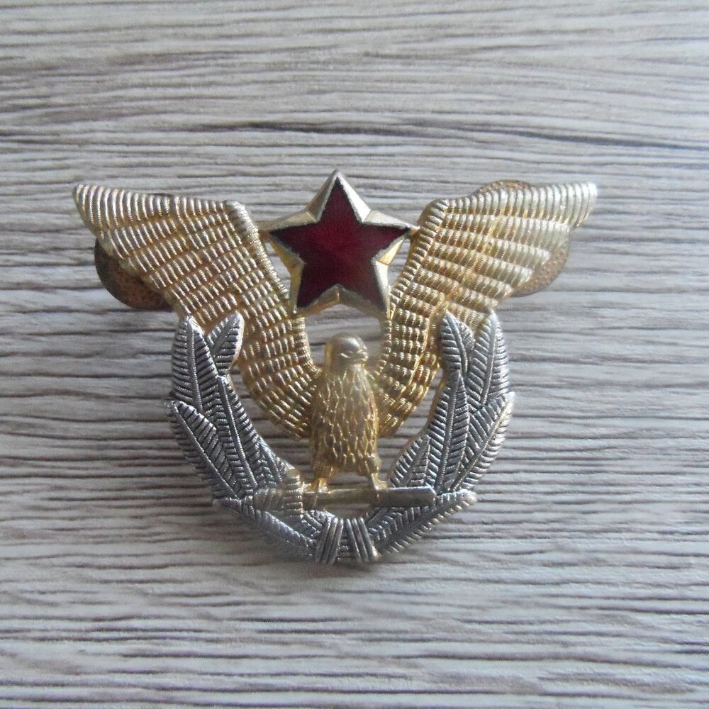 Yugoslavia Air Force Badge 60mm X 43mm (#1)